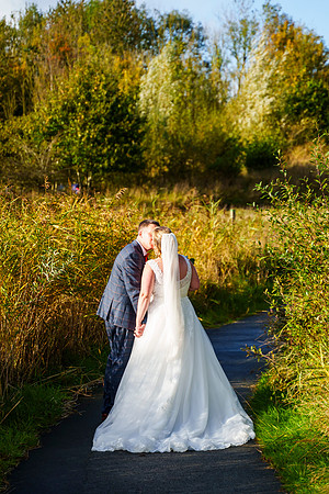 Brockholes 303