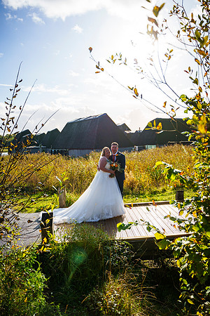 Brockholes 319