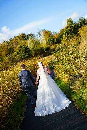 Brockholes 299