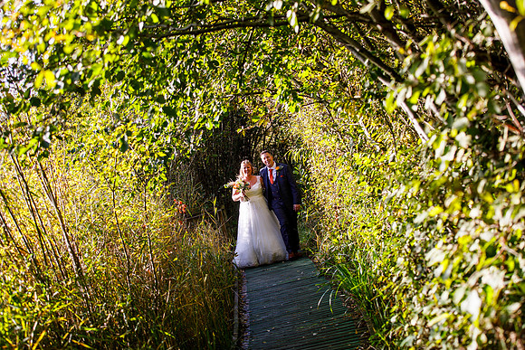 Brockholes 335