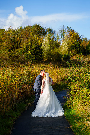 Brockholes 304