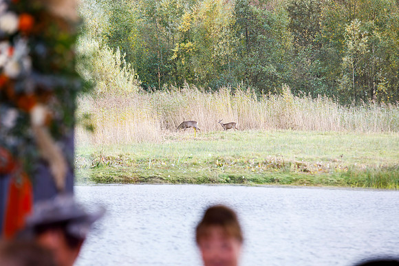 Brockholes 368