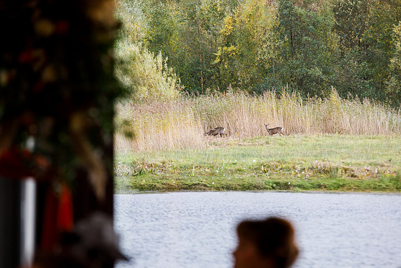 Brockholes 369