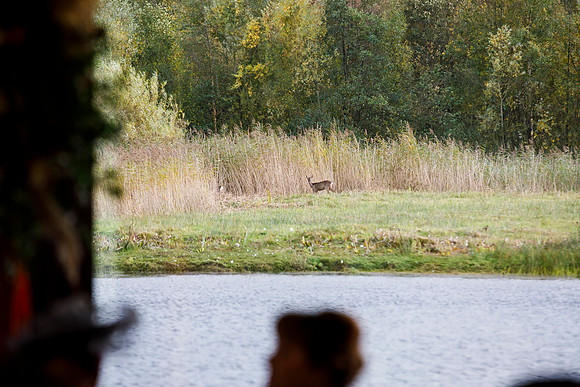 Brockholes 370