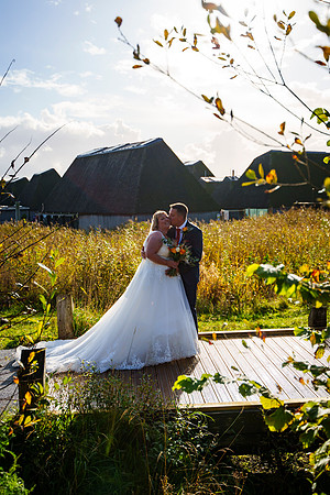 Brockholes 318