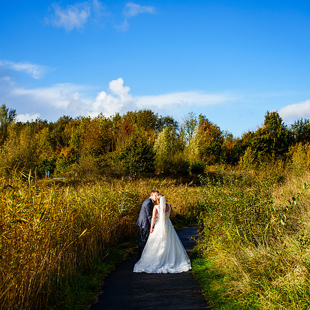 Brockholes 305