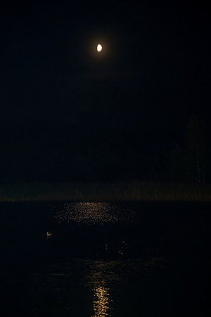 Brockholes 394